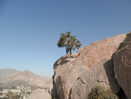 Keren, Eritrea - July 15, 2021: Traveling around the vilages near Asmara and Massawa. An amazing caption of the trees, mountains and some old typical houses with very hot climate in Eritrea.のeditorial素材