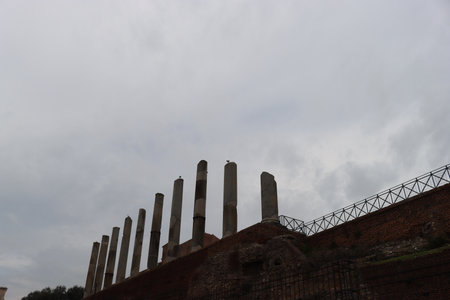 ROME, ITALY - February 05, 2022: Panoramic view around the Colosseum in city of Rome, Italy. Cold and gray sky in the background. Macro photography of the green parks with the old buildings.のeditorial素材