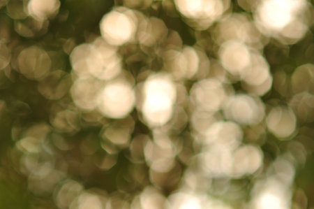 the bokeh night blur focus slow speed shutter electricity lightの写真素材