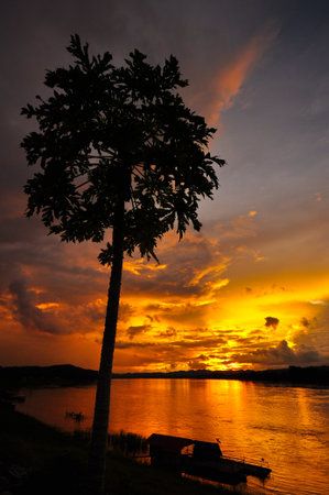the sunrise and silhouette tree on river mountain in the morningの写真素材