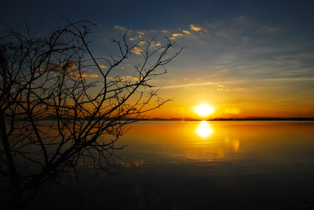 the sunrise and silhouette branch of tree on lake mountain in the morningの写真素材