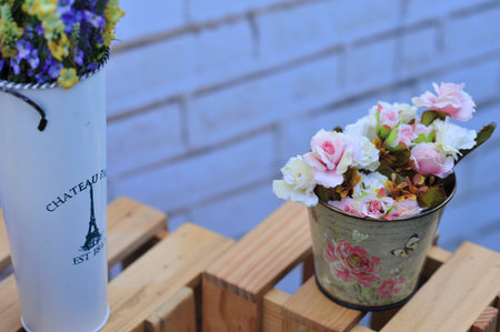 pink cosmos flower on blue sky cloud background in garden field so beautiful plant and fresh on autumn seasonの写真素材