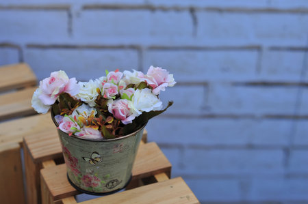 pink cosmos flower on blue sky cloud background in garden field so beautiful plant and fresh on autumn seasonの写真素材