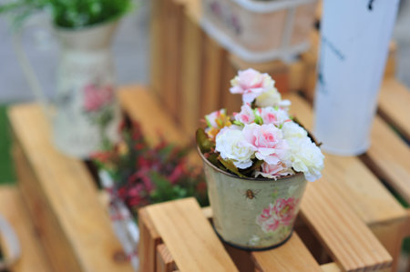 pink cosmos flower on blue sky cloud background in garden field so beautiful plant and fresh on autumn seasonの写真素材