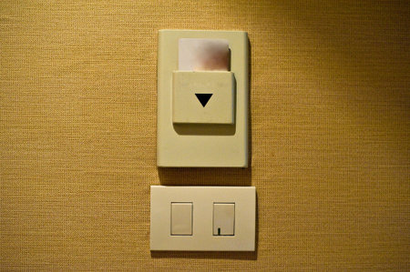 the electrical plug is the technology for power supply in home use 220 volt