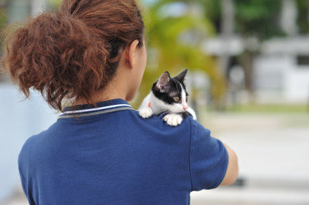 the portrait of little cute cat in holiday so funny and happy feelingの写真素材