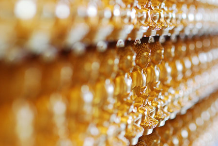 Blur focus of light on black background from lamp in night on Christmas before new year 2018 so beautiful romantic holidayの写真素材