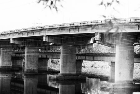 black and white analog negative film photo by kentmere pan 100