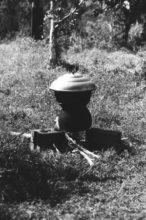 black and white analog negative film photo from fomapan 400の写真素材
