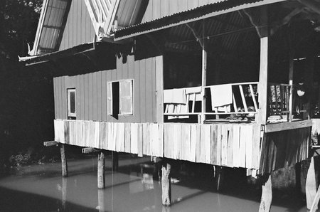 black and white analog negative film roll photo from ilford xp2 super 400の写真素材