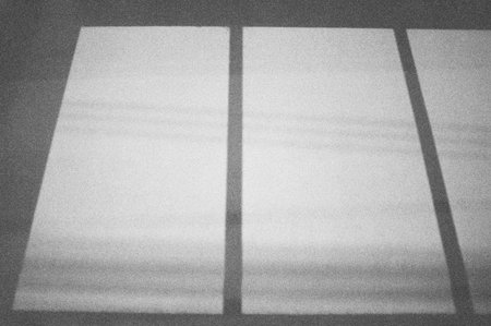 black and white analog negative film roll photo from ilford delta 3200