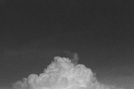 black and white analog negative film roll photo from ilford delta 3200