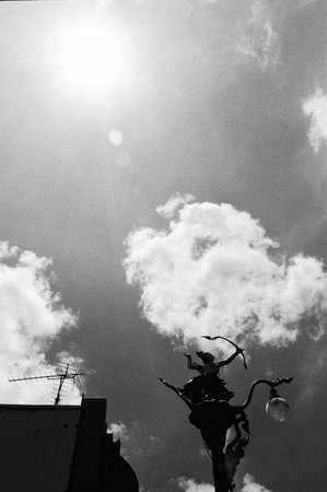black and white analog film negative photo by ilford pan 100の写真素材