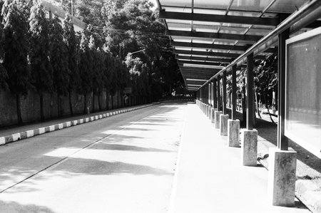 black and white analog film negative photo by ilford pan 100の写真素材