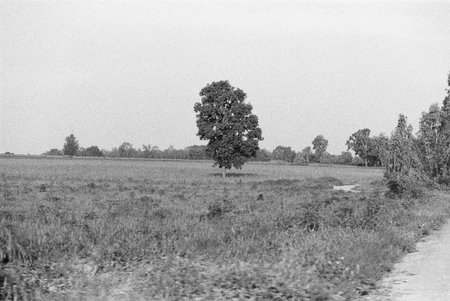 balck and white analog negative film photo by ilford pan 400の写真素材