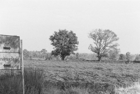 balck and white analog negative film photo by ilford pan 400の写真素材