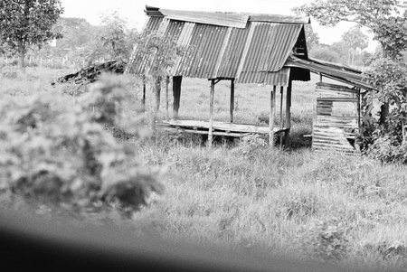 balck and white analog negative film photo by ilford pan 400の写真素材