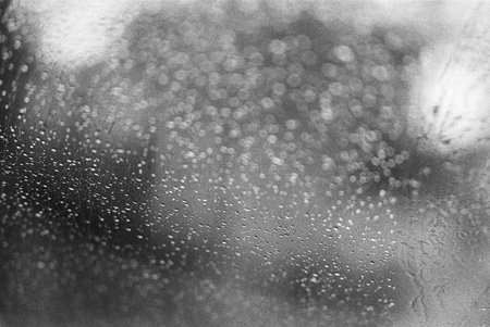 balck and white analog negative film photo by ilford pan 400の写真素材