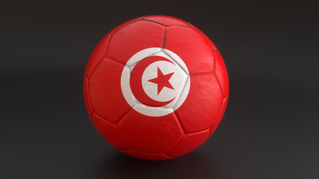Tunisia flag embedded in a soccer ball on gray backgroundの写真素材