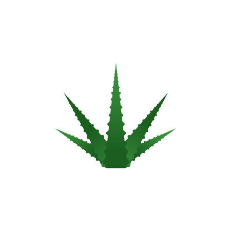 Aloe vera graphic design template isolatedのイラスト素材