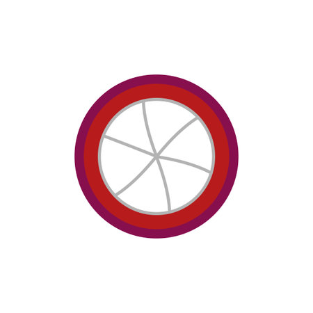mangosteen fruit vector design template illustrationのイラスト素材