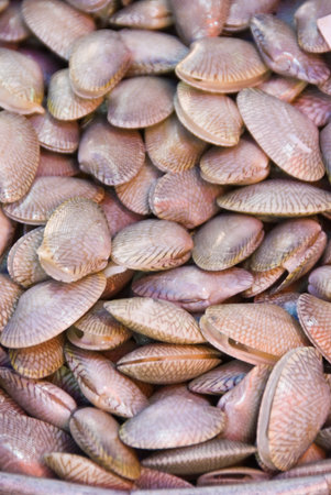 seafood at marketplace の写真素材