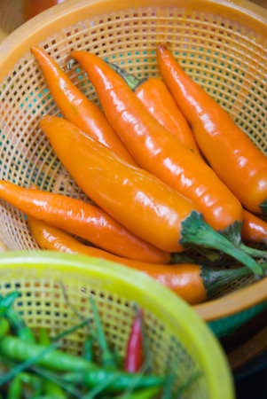 asian herbs and vegetablesの写真素材