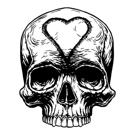 Skull, skeleton head anatomy ink line hand drawn engraving. Tattoo desing. Black on white background. Hand drawn line art vector illustration for design print shirt, poster, textiles, tattoo, cover.のイラスト素材