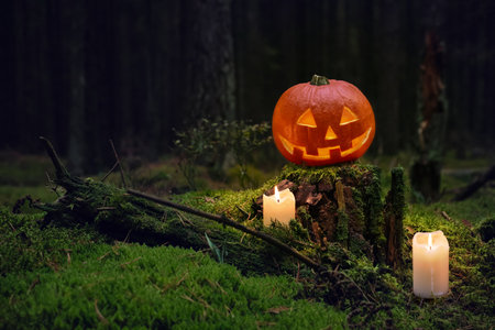 This is Halloween in Tale Forest Pumpkin orange face and candalsの写真素材