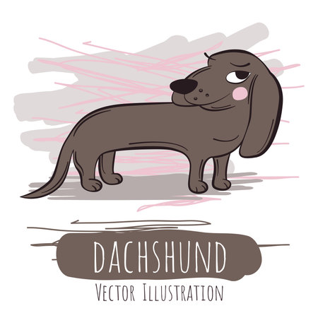 Ironic brown dachshundのイラスト素材