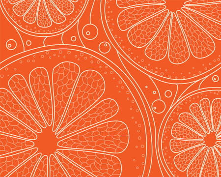 Natural color stylized linear patter  with citrus in section.のイラスト素材