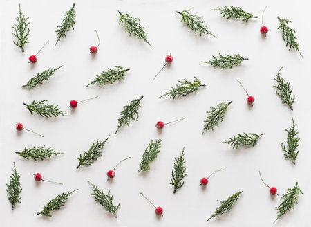 Christmas background, frame with fir branches tree pinecone over white background. flatlay copy spaceの写真素材