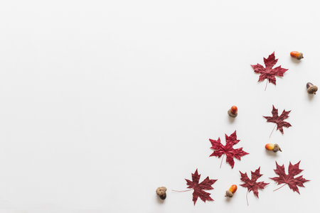 Maple leaves/leaf dry red color in fall autumn seasonal over white background with copy space. flatlayの写真素材