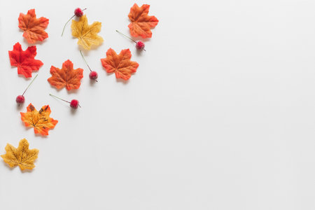 Maple leaves/leaf dry red color in fall autumn seasonal over white background with copy space. flatlayの写真素材