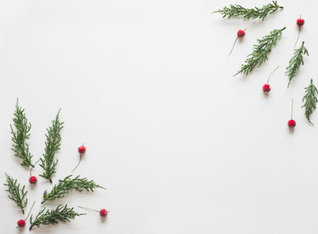 Christmas background, frame with fir branches tree pinecone over white background. flatlay copy spaceの写真素材