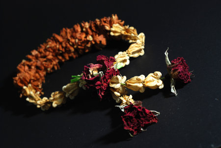 Old Malai The flower in Thai の写真素材