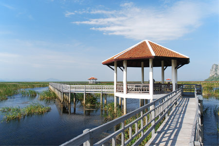 Bridge to pavilion in lotus lakeの写真素材