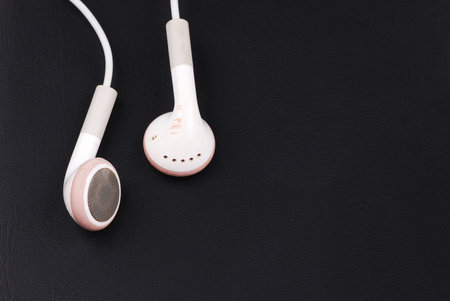 white earphone