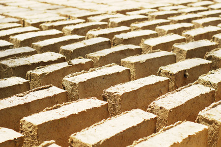 Soil bricks drying with the sun