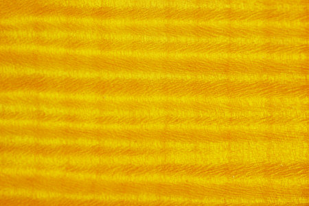 Texture of maple wood background