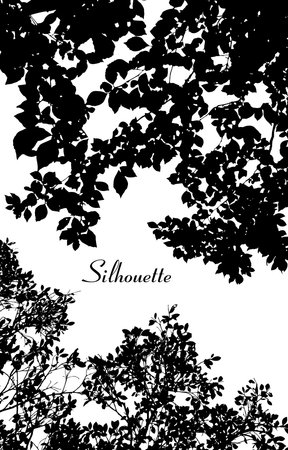 Vector leaves silhouetteのイラスト素材