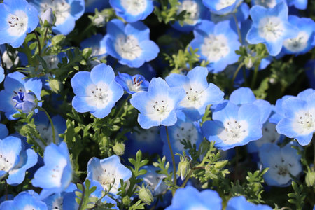 Shot girlの写真素材