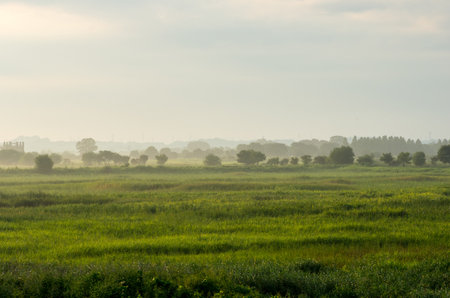 Watarase yusuichi,tochigi(prefectures),tourism of japanの写真素材