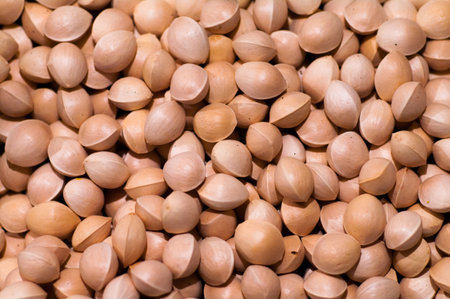 ginkgoの写真素材