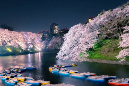 Chodorigafuchi cherry blossoms, tokyo prefectures, tourism japanのeditorial素材