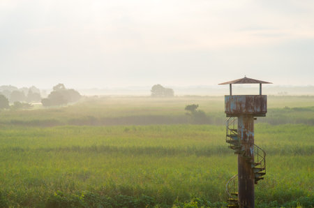 Watarase yusuichi,tochigi(prefectures),tourism of japanの写真素材