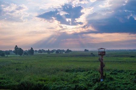 Watarase yusuichi,tochigi(prefectures),tourism of japanの写真素材