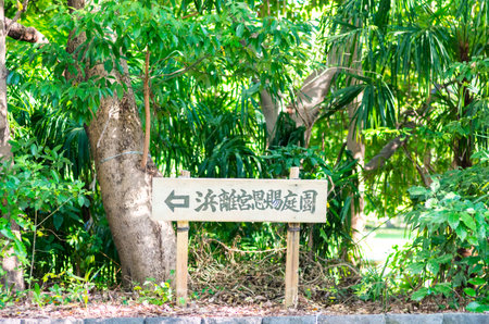 Hamarikyu Gardens,tokyo(prefectures),tourism of japanのeditorial素材