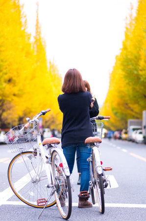 tokyo jingu ginkgo,tokyo(prefectures),tourism of japanのeditorial素材