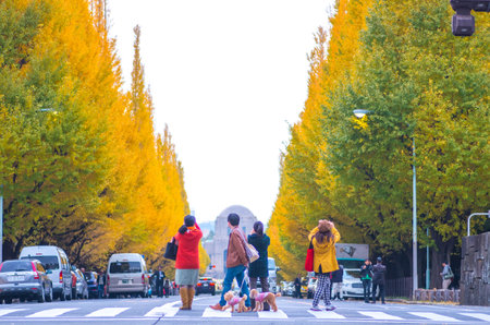 tokyo jingu ginkgo,tokyo(prefectures),tourism of japanのeditorial素材